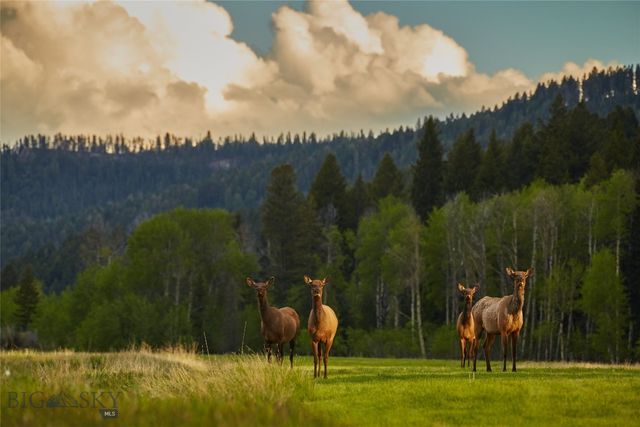 Lot 37 Sun West Ranch, Cameron, MT 59720