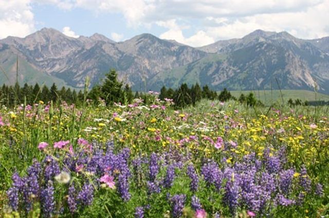 Lot 37 Sun West Ranch, Cameron, MT 59720