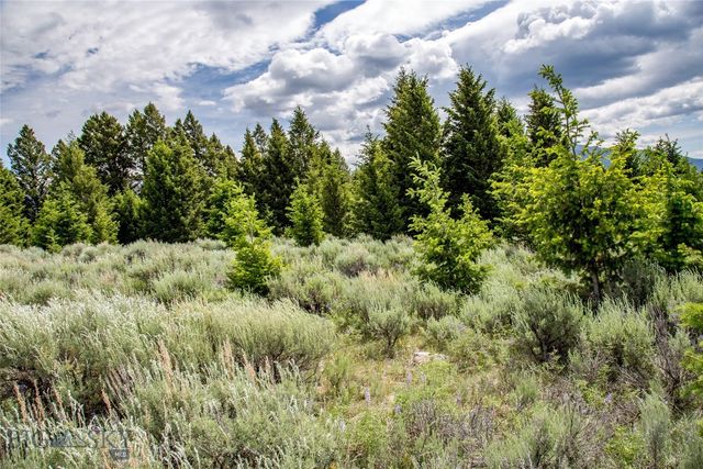 Lot 37 Sun West Ranch, Cameron, MT 59720