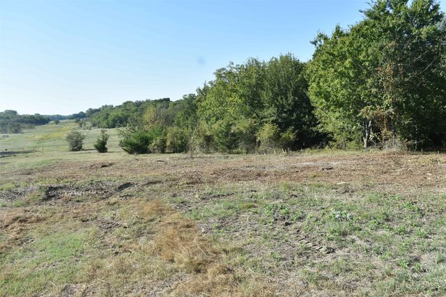 42 Acres N State Highway 78, Farmersville, TX 75442