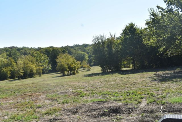 42 Acres N State Highway 78, Farmersville, TX 75442