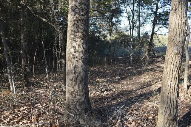 42 Acres N State Highway 78, Farmersville, TX 75442