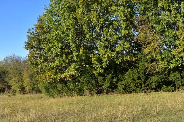 42 Acres N State Highway 78, Farmersville, TX 75442