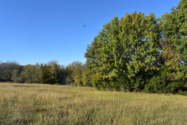 42 Acres N State Highway 78, Farmersville, TX 75442