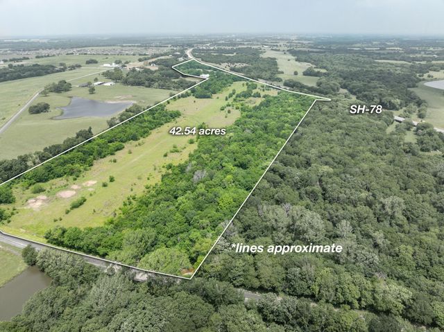 42 Acres N State Highway 78, Farmersville, TX 75442