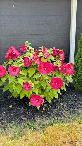 1052 Fernwood, Lockport Town, NY 14094