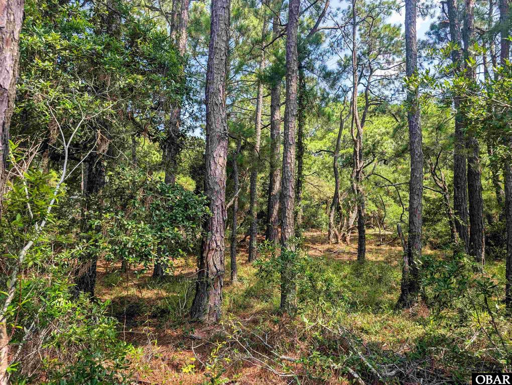 Image 6 of property listing at 2364 Swan Island Road Lot 6, Corolla, NC 27927