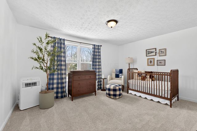 9283 Downing Road, Johnstown, OH 43031