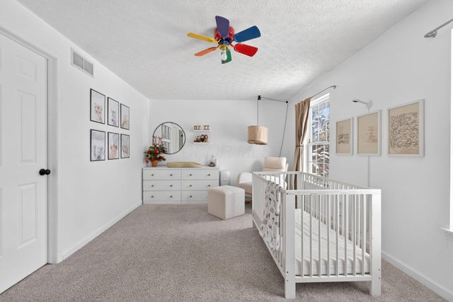 9283 Downing Road, Johnstown, OH 43031