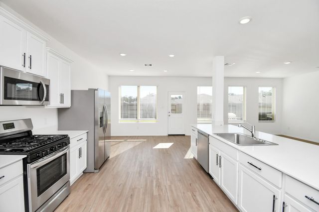 19463 Rosali Meadow Drive, New Caney, TX 77357