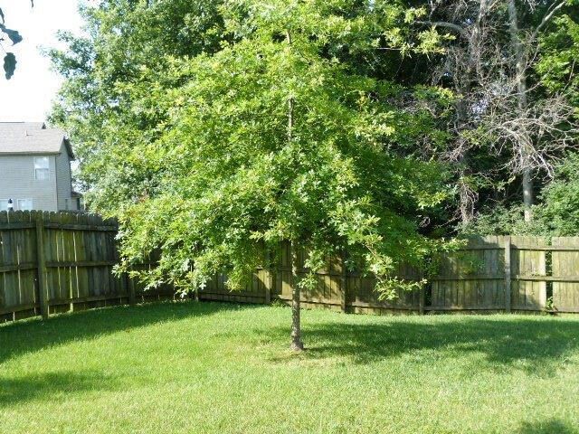 4752 WINDSTAR Way, Lexington, KY 40515