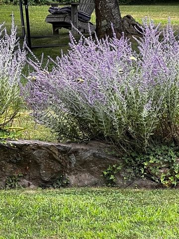 42 Partridge Cir, Brewster, MA 02631