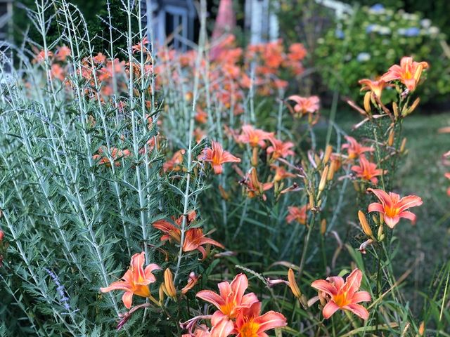 42 Partridge Cir, Brewster, MA 02631