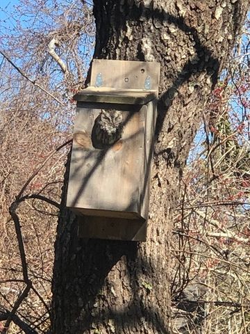 42 Partridge Cir, Brewster, MA 02631