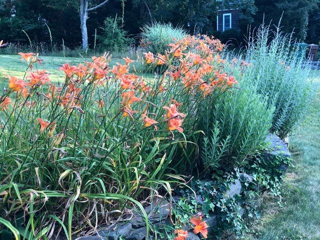 42 Partridge Cir, Brewster, MA 02631