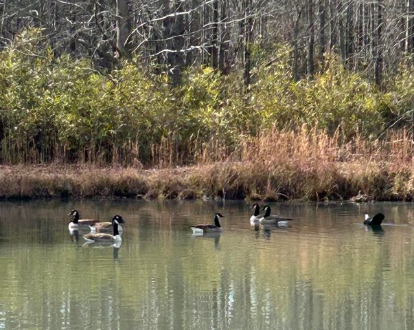 122 Twin Creek Farm Road, Aiken, SC 29805