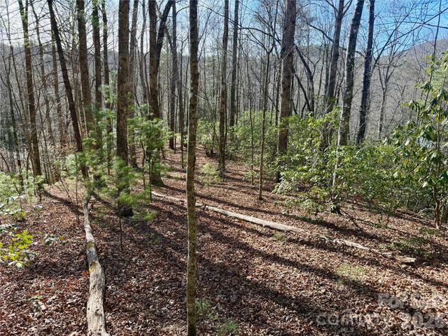 Lot 48 Fox Den Road, Brevard, NC 28712
