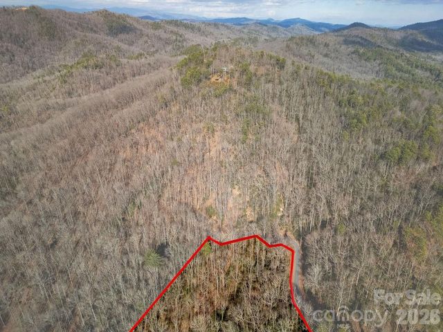 Lot 48 Fox Den Road, Brevard, NC 28712