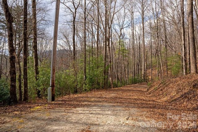 Lot 48 Fox Den Road, Brevard, NC 28712