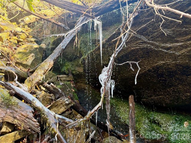 Lot 48 Fox Den Road, Brevard, NC 28712