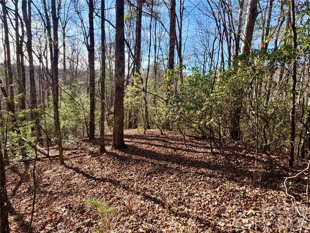 Lot 48 Fox Den Road, Brevard, NC 28712