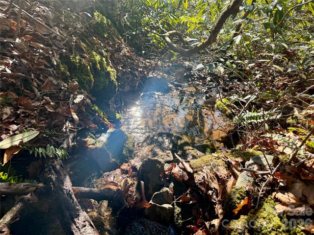 Lot 48 Fox Den Road, Brevard, NC 28712