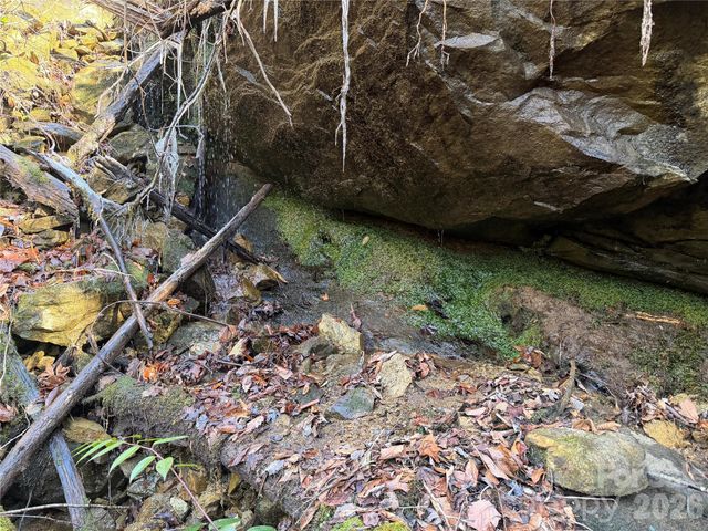 Lot 48 Fox Den Road, Brevard, NC 28712