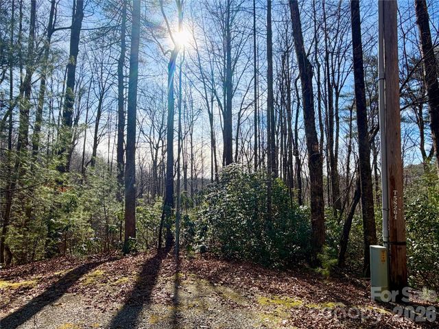 Lot 48 Fox Den Road, Brevard, NC 28712