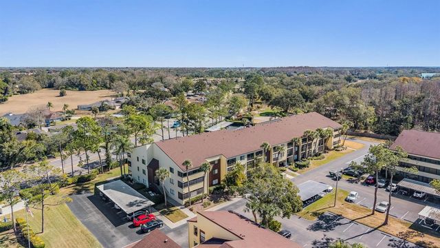 13602 S VILLAGE DRIVE 1204, Tampa, FL 33618