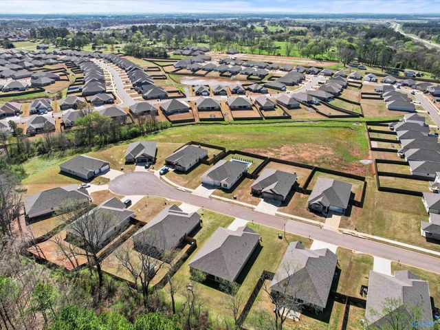 21613 Ginn Point Road, Athens, AL 35613