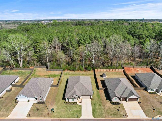 21613 Ginn Point Road, Athens, AL 35613