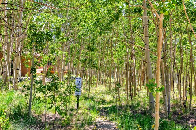 2436 High Creek Road, Fairplay, CO 80440