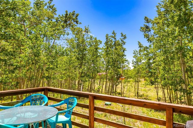 2436 High Creek Road, Fairplay, CO 80440