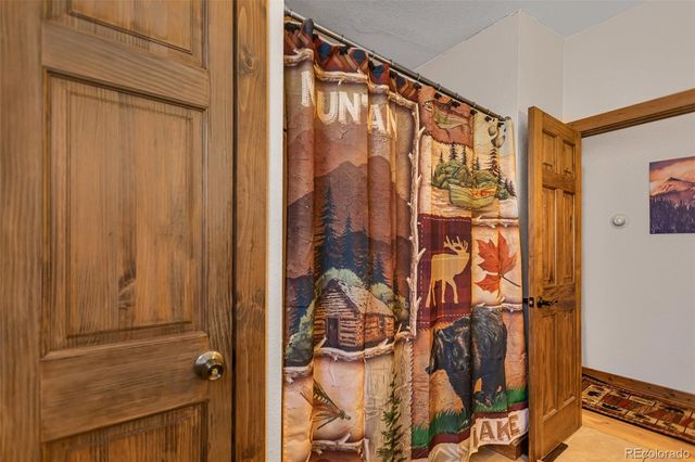 2436 High Creek Road, Fairplay, CO 80440