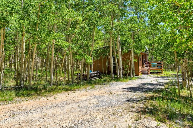 2436 High Creek Road, Fairplay, CO 80440