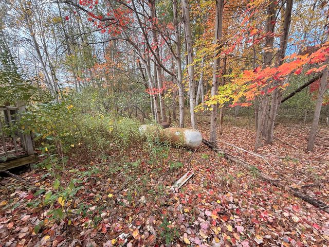 543 N Dennis Road, Amber Twp, MI 49431