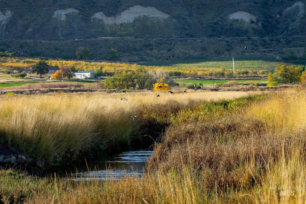 2223 W Sales Yard, Emmett, ID 83617 photo 4