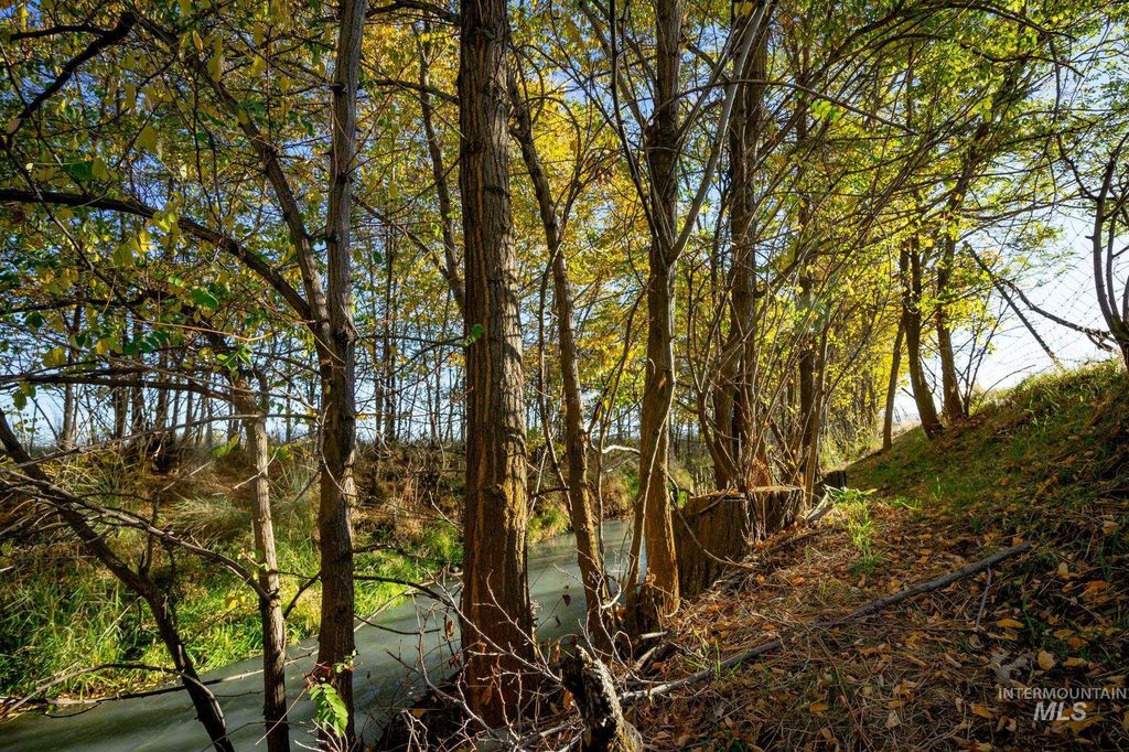 2223 W Sales Yard, Emmett, ID 83617 photo 6