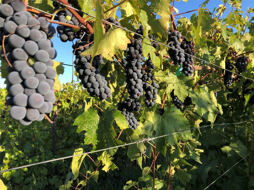 4175 Rattlesnake Drive, Missoula, MT 59802 photo 110