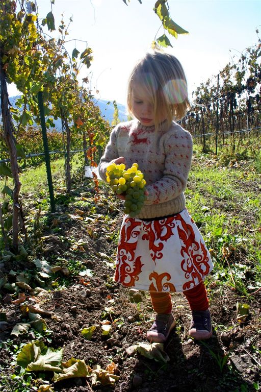 4175 Rattlesnake Drive, Missoula, MT 59802 photo 113