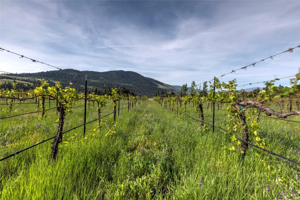 4175 Rattlesnake Drive, Missoula, MT 59802 photo 47