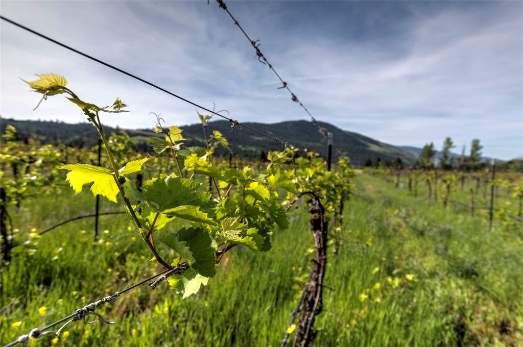 4175 Rattlesnake Drive, Missoula, MT 59802 photo 48