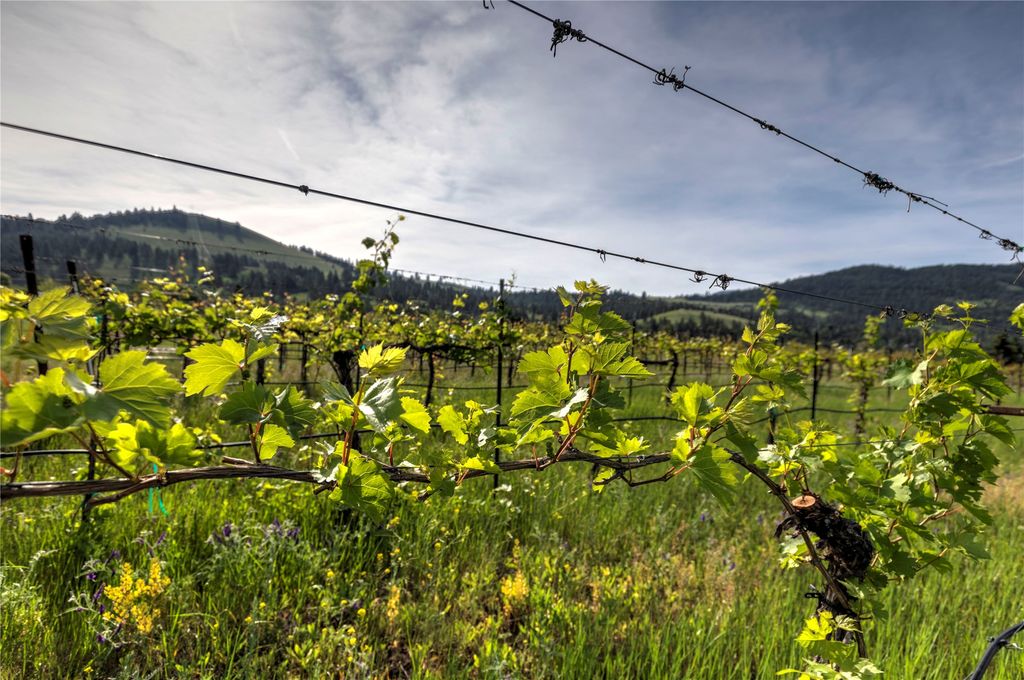 4175 Rattlesnake Drive, Missoula, MT 59802 photo 49