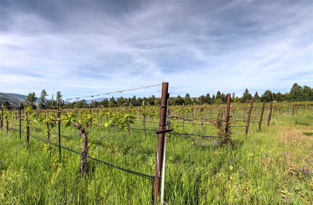 4175 Rattlesnake Drive, Missoula, MT 59802 photo 51