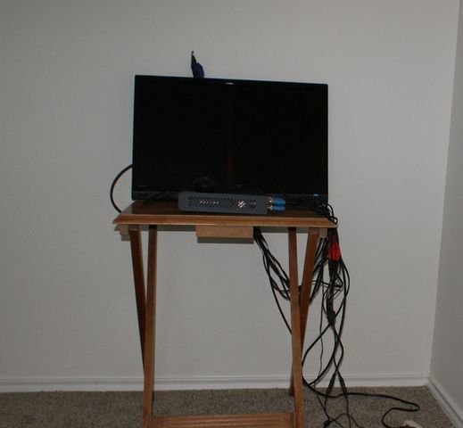 12450 Grossmount Drive, Houston, TX 77066