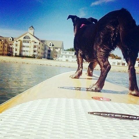 360 Revere Beach Blvd 309, Revere, MA 02151