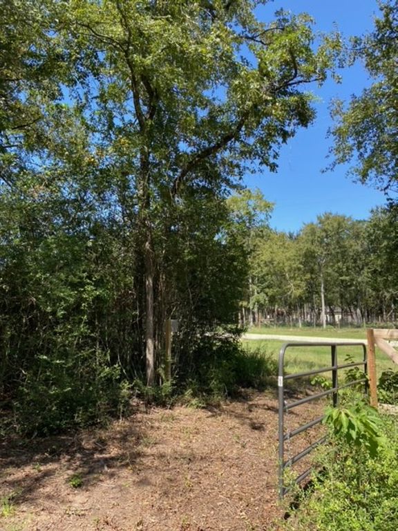 UNK Sawmill Road, Franklin, TX 77856 — photo 2