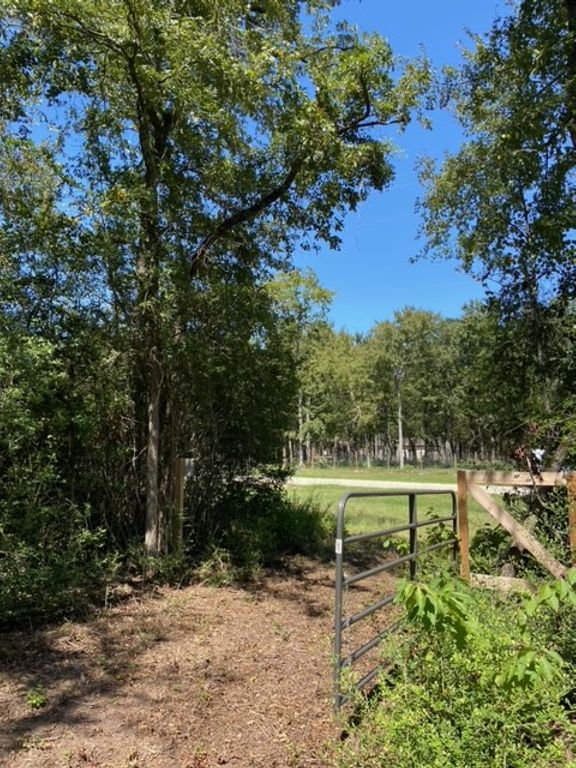 UNK Sawmill Road, Franklin, TX 77856 — photo 3