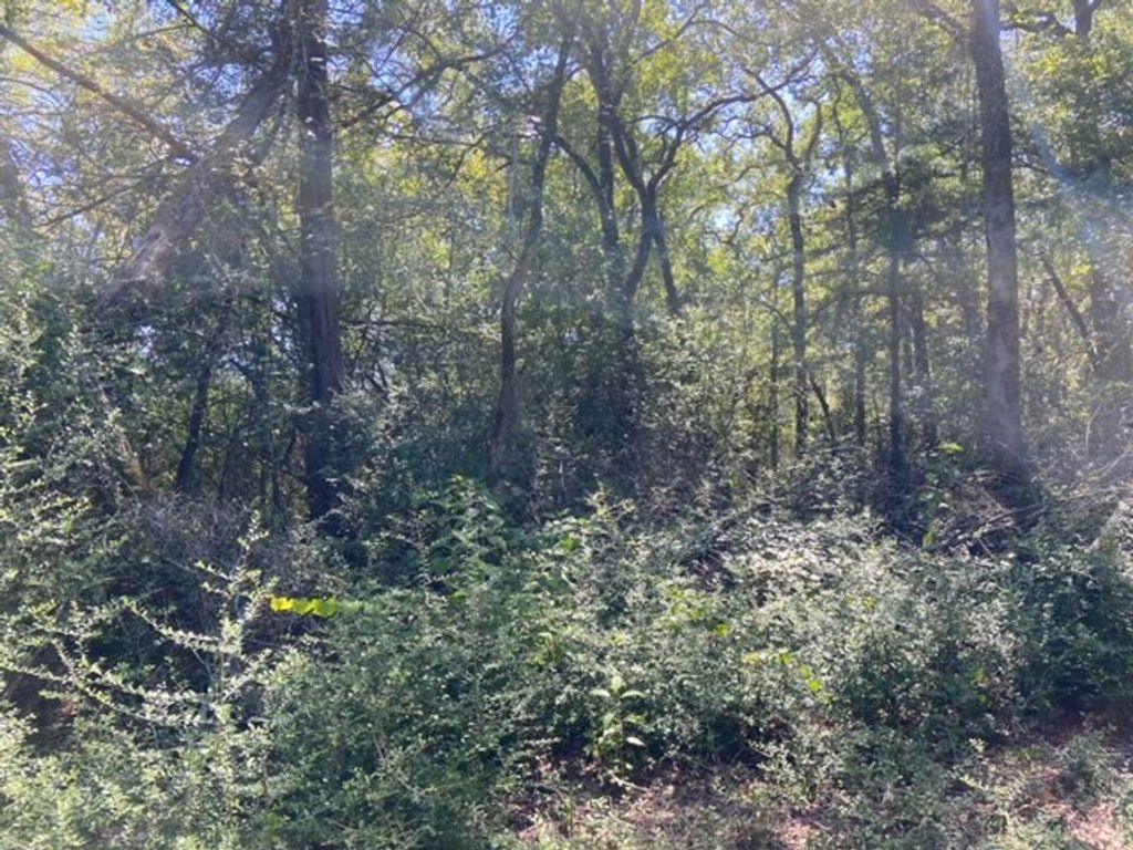 UNK Sawmill Road, Franklin, TX 77856 — photo 5