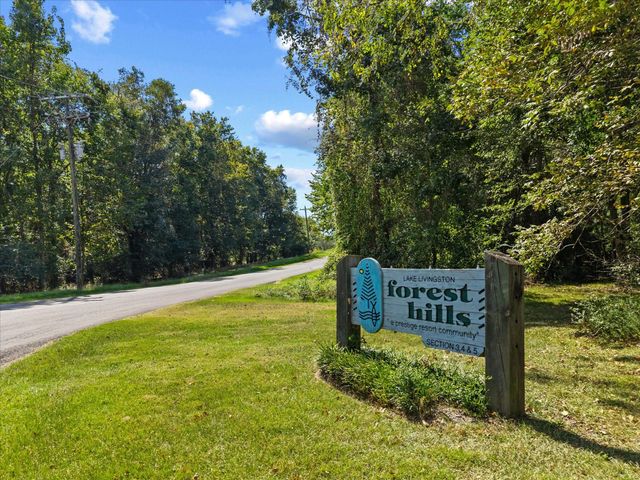 295 Lazy Hollow Lane, Livingston, TX 77351